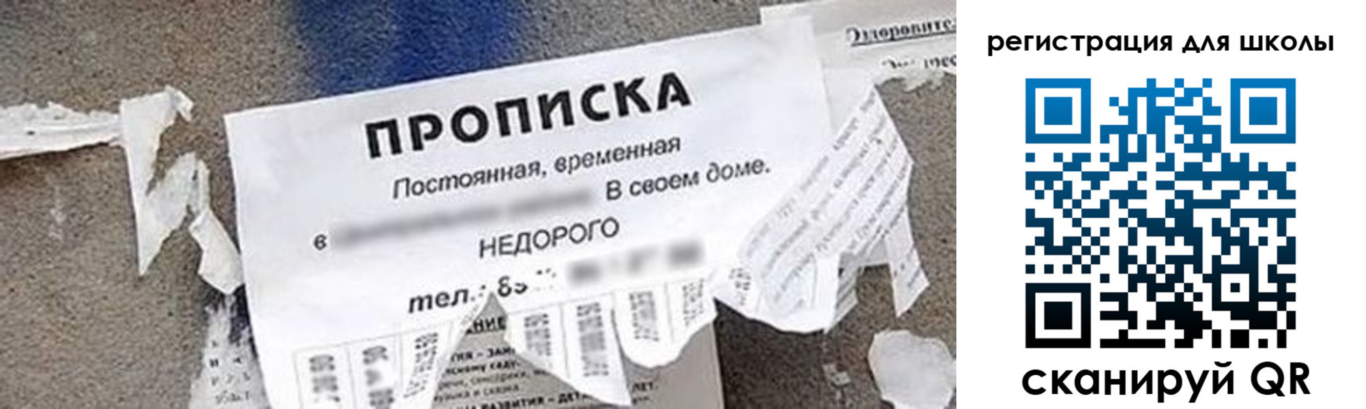 временная регистрация поиск в Белой Холунице